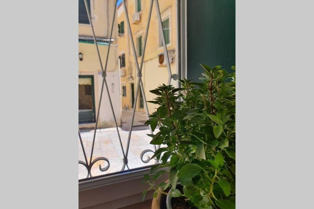 Apartment Elia Luxury Suite, Corfu Town Corfu (city)